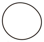 O-ring