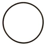 O-ring