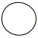 O-ring