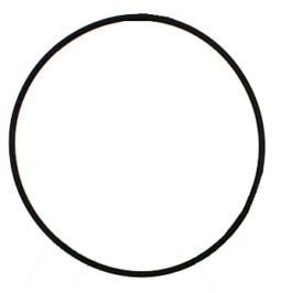 O-ring